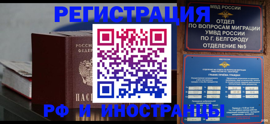 прописка 2025 в Каргополе